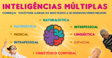 inteligências múltiplas - como desenvolver - www.bigcerebro.com.br